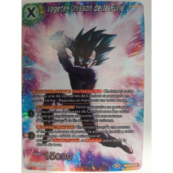 EX12-02 Vegeta, Unisson de la Furie