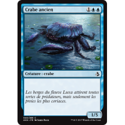 Crabe ancien / Ancient Crab