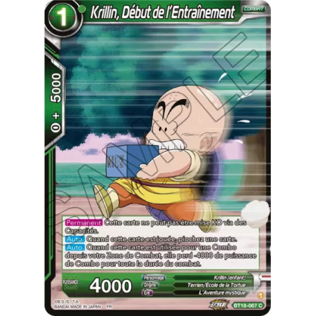 BT18-067 Krillin, Training's Beginning