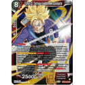 BT23-015-SR Trunks SS, Technique traditionnelle autodidacte