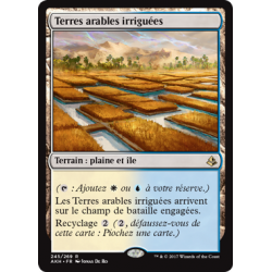 Terres arables irriguées / Irrigated Farmland