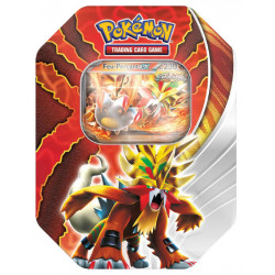 Pokébox Pokémon Destinée Paradoxe - Feu-Perçant ex