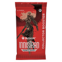 Booster Collector Magic: The Gathering - INR : Innistrad Remastered