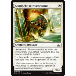 Sentinelle retroussecorne / Snubhorn Sentry