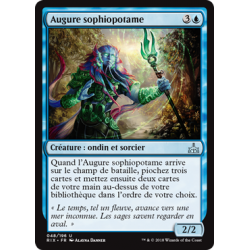 Augure sophiopotame / Riverwise Augur