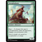 Cacophodonte / Cacophodon