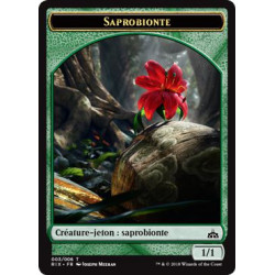 Saprobionte 1/1