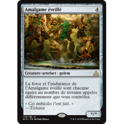 Amalgame éveillé / Awakened Amalgam