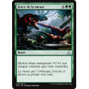 Force de la meute / Strength of the Pack - Foil