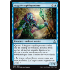 Augure sophiopotame / Riverwise Augur