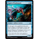 Expert d'Ouidargent / Silvergill Adept - Foil