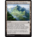 Étendues sauvages en évolution / Evolving Wilds - Foil