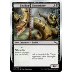 Big Boa Constrictor