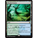 Flooded Grove