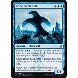 Brine Elemental