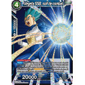 BT2-040 Vegeta SSB, soif de combat