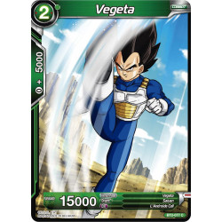 BT2-077 Vegeta