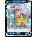 BT2-044 Trunks résolu