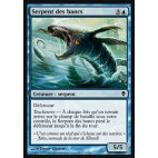 Serpent des bancs / Shoal Serpent