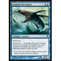 Serpent des bancs / Shoal Serpent