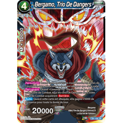 TB1-035 SR Bergamo, Trio de dangers