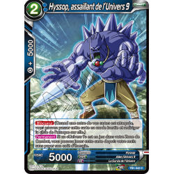 TB1-043 C Hyssop, assaillant de l'univers 9