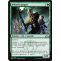 Pillards golgari / Golgari Raiders - Foil