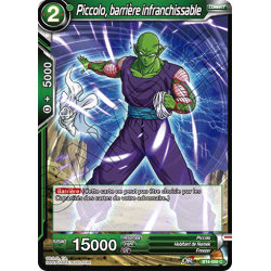 BT4-050 Piccolo, barrière infranchissable