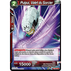 TB2-016 C Puipui, Valet du sorcier