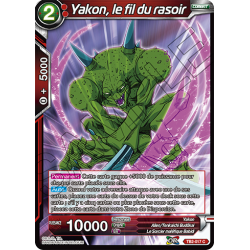 TB2-017 C Yakon, le fil du rasoir