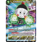 TB2-056 C Chiaotzu aguerri