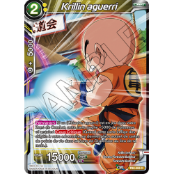 TB2-053 C Krillin aguerri