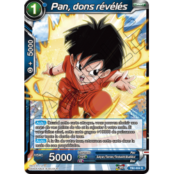 TB2-024 R Pan, dons révélés