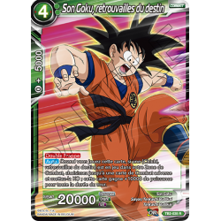 TB2-035 R Son Goku, retrouvailles du destin