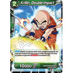 TB2-041 R Krillin, double impact