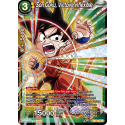 TB2-051 Son Goku, victoire inflexible