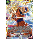 TB2-002 SPR Son Goku, confrontation suprême