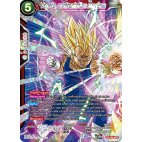 TB2-005 SR Vegeta, confrontation suprême