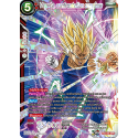 TB2-005 SPR Vegeta, confrontation suprême