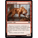 Maaka sauvage / Feral Maaka