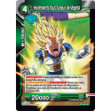 BT1-065 Hurlements fous furieux de Vegeta