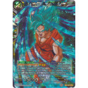 P-088 Son Goku SSB, frappe neutralisante