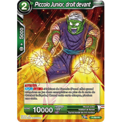 P-058 Piccolo Junior, droit devant