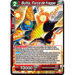 TB3-008 Butta, Force de frappe