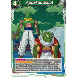 TB3-046 Appel au Salut