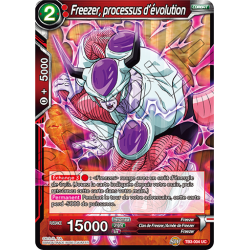 TB3-004 Freezer, processus d'évolution