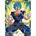 BT3-063 Vegetto SSB, rush dément