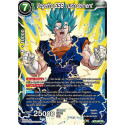 BT3-063 Vegetto SSB, rush dément