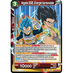 BT6-007 Vegeta SSB, énergie harmonisée