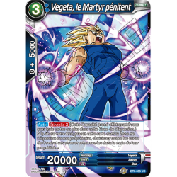 BT6-033 Vegeta, le martyr pénitent